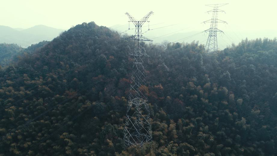 �C�d���_���Ѳ�����ð���